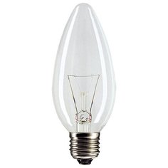 Лампа накаливания Philips Standard 1CT/10X10F, E27, B35, 60Вт