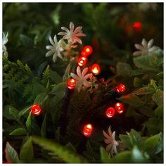 Гирлянда уличная Luazon Lighting Нить, на солнечной батарее 12 м, Н, Т, LED-100, 2 режима, нить темная, свечение красное (4137008)