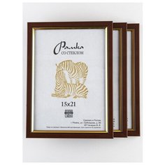 Рамка пластиковая 15х21, 3шт., Зебра, 205 коричневый, золотистый