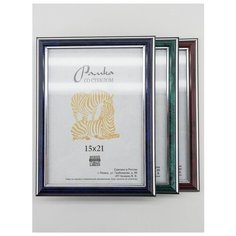 Рамка пластиковая 15х21, 3шт., Зебра, 310, 311, 312