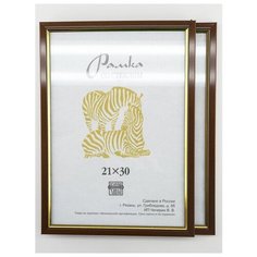 Рамка пластиковая 21х30, 2шт., Зебра, 205 коричневый, золотистый