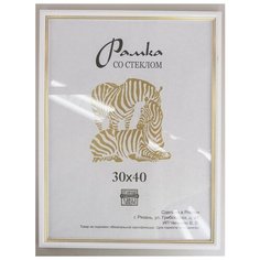 Рамка пластиковая 30х40, Зебра, 100 белый, светло-золотистый