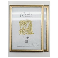 Рамка пластиковая 21х30, 2шт., Зебра, 309 пудровый, графит