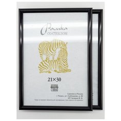 Рамка пластиковая 21х30, 2шт., Зебра, 508 чернильный