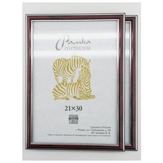 Рамка пластиковая 21х30, 2шт., Зебра, 310 бордовый