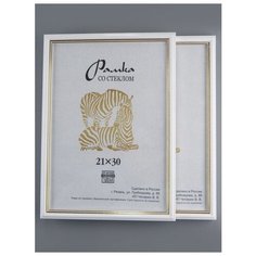 Рамка пластиковая 21х30, 2шт., Зебра, 100 белый, светло-золотистый