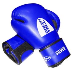 Боксерские перчатки Green hill Silver (BGS-2039) синий 10 oz