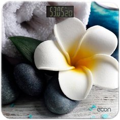 Весы электронные ECON ECO-BS004