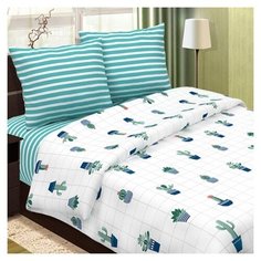 Комплект постельного белья "Insight" поплин, 100% хлопок, пл. 118 гр./кв.м., "Кактусы" размер 2.0 евро простыня Традиция