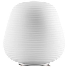 Настольная лампа декоративная Lightstar Arnia 805911