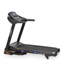 Беговая дорожка Eisberg Fitness Larsen M