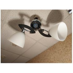 Люстра потолочная JUPITER LIGHTING N01-1715/2, E27, 2х60 Вт