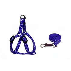 Шлейка с поводком Киспис 103020-103028 синий