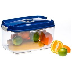 STATUS Контейнер вакуумный VAC-REC-45, 18.5x29.5 см, blue