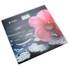 Весы электронные DELTA D-9232