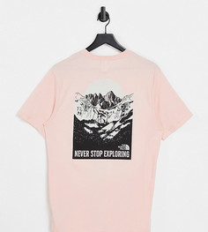 Розовая футболка The North Face Back Natural Wonders – эксклюзивно для ASOS-Розовый цвет