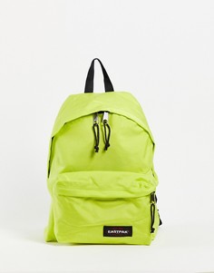 Рюкзак темного цвета с принтом и мягкими вставками Eastpak x Liberty Padded Pakr-Multi
