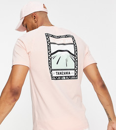 Розовая футболка The North Face Faces эксклюзивно для ASOS-Розовый цвет