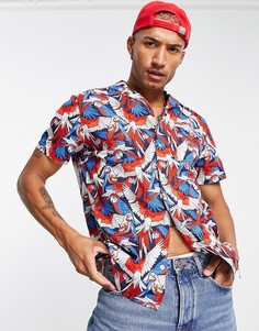 Красная рубашка с короткими рукавами и сплошным принтом попугаев Tommy Jeans-Красный