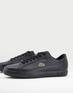 Черные кроссовки с логотипом крокодила Lacoste Powercourt-Черный цвет