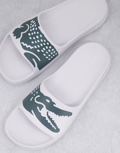 Белые шлепанцы с принтом крокодила Lacoste 2.0-Белый