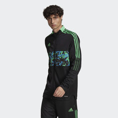 Олимпийка Tiro Graphic adidas Performance