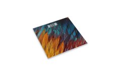 Весы напольные Leran Eb9379 05