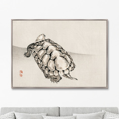 Репродукция Turtle, 1885г. Картины В Квартиру
