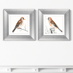 Репродукция Диптих Goldfinches, 1698г. (из 2-х картин) Картины В Квартиру