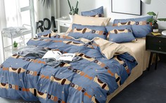 Комплект постельного белья Sleeping Place2604П_175_70