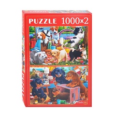 Пазлы Рыжий кот 2 в 1, (1000 и 1000 элементов), Игривые щенки