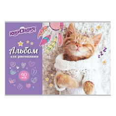 Альбом д/рис А4 40 л, скоба, обложка картон, 202 х 285 мм, Кот в свитере, 1 вид, Юнландия