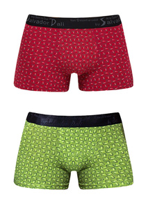 Набор боксеров мужских Salvador Dali SD23-2 зеленых 46