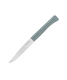 Нож столовый Opinel N°125, полимерная ручка, нержавеющая сталь, шалфей. 002195