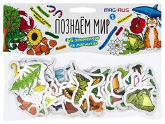 Развивающая игра на магнитах Анданте Я познаю мир, выпуск 2 (65 эл-ов, пакет) NF1058