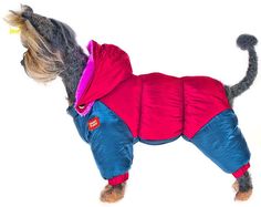 Пуховик Happy Puppy для собак (Красно-синий, 28*45*29 см.)