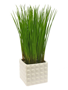 Трава в керамическом кашпо Квадрат Gerard de ros