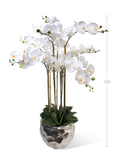 Орхидея Фаленопсис 7 веток в керамическом кашпо полусфера Gerard de ros