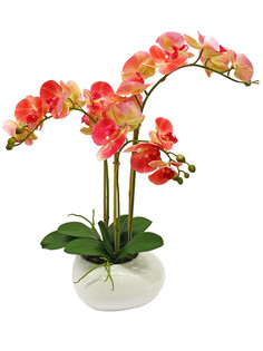 Орхидея фаленопис 3 ветки в керамическом кашпо Камень белое Gerard de ros