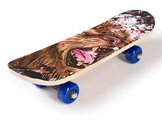 Скейт Sxride JST43 Lion JST43PVC02