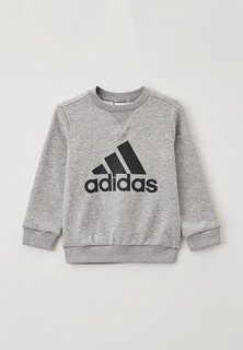 Свитшот adidas