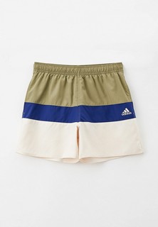 Шорты для плавания adidas