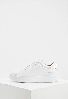 Кеды Ted Baker London