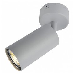 Спот Arte Lamp 3216 A3216PL-1GY