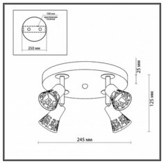 Спот Odeon Light Bierzo 2612/4C