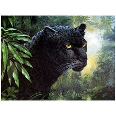 Картина по номерам Raduga