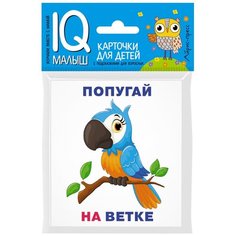 Кто где находится? Комплект односторонних карточек АЙРИС пресс