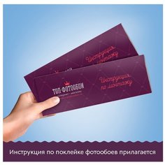 Фотообои флизелиновые Топ Фотообои Дизайнерские с изображением перьев на фоне стены 300х270 (ШхВ) светло-серый/светло-коричневый/серо-коричневый/сиреневый/светло-бежевый