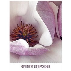 Фотообои флизелиновые Топ Фотообои Композиция из 3D цветов №1 300х180 (ШхВ) светло-серый/белый/молочный/сиреневый/темно-пурпурный