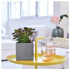 Кашпо Канто Стоун 14 Графитовый черный с системой автополива Lechuza